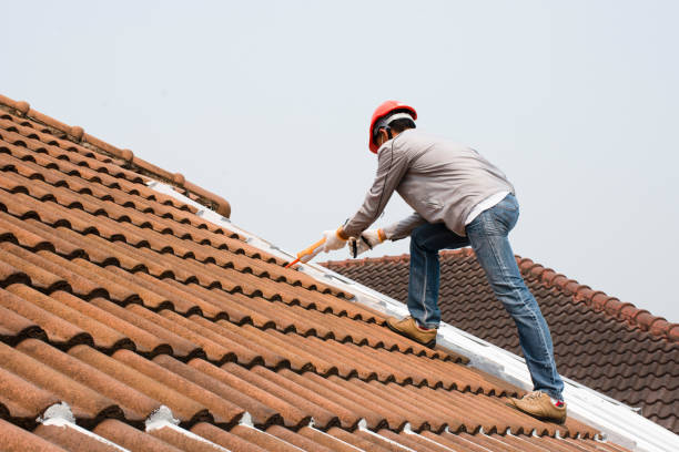 Best Roof Leak Repair  in Irmo, SC